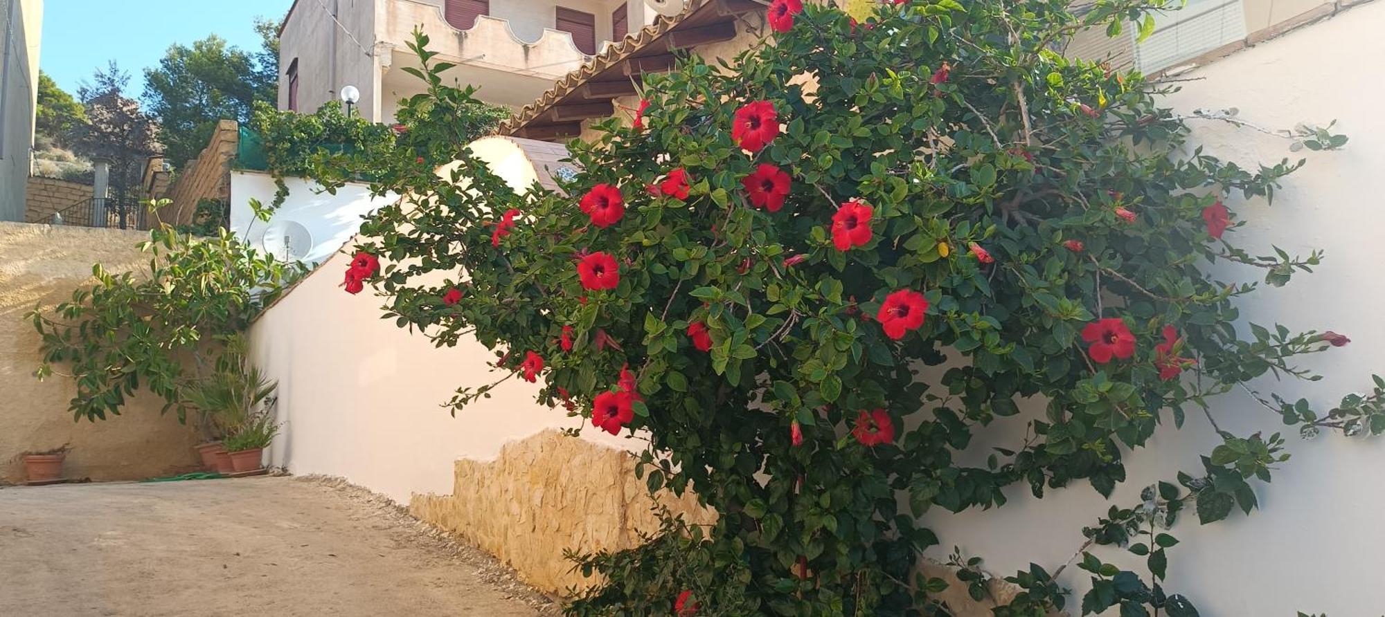 Al Faro Frühstückspension Realmonte
